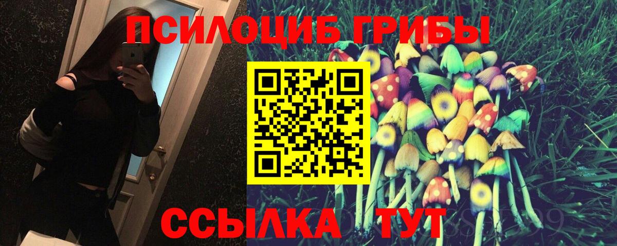 Галлюциногенные грибы мухоморы  Псилоцибиновые грибы ЛСД  купить наркотики цена  Вход с VPN  Урус-Мартан 